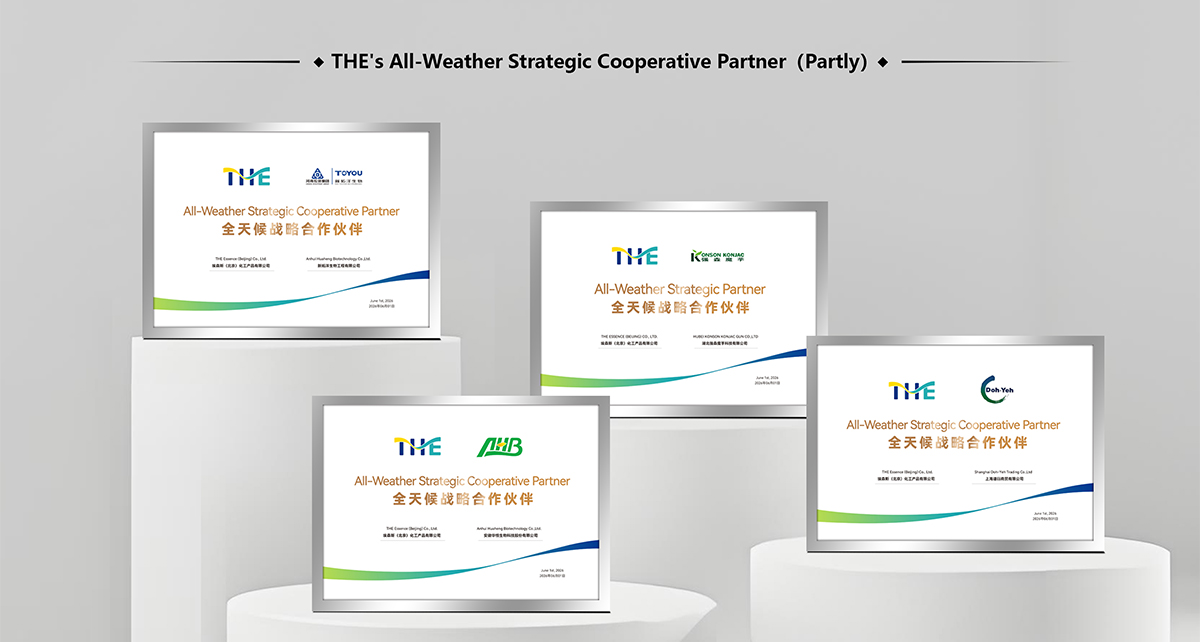 THE Strategy Partner