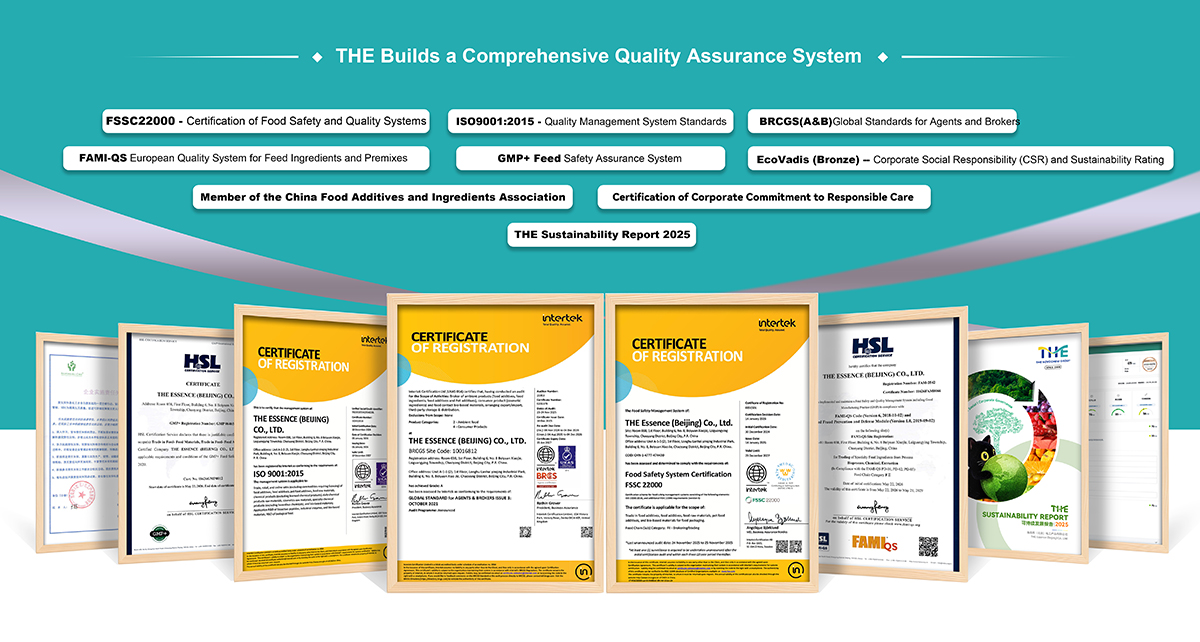 THE Full-Process QA System