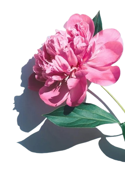 Brand Flower Accent